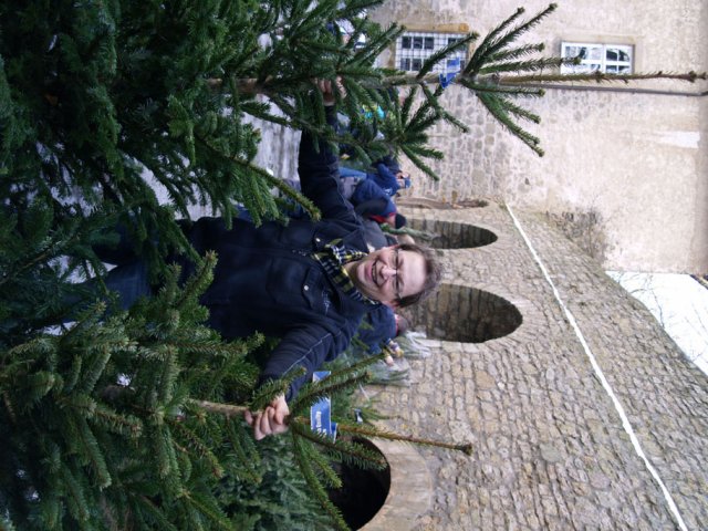 Weihnachtsbaumverkauf 2012